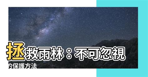 保護雨林的方法|如何拯救雨林？